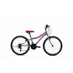 Adria Stinger 24" gyerek kerékpár Grafit-Rózsaszín kép