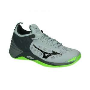 Mizuno Röplabda Cipő WAVE MOMENTUM V1GA191237 kép