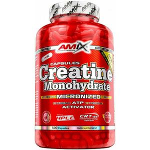 Creatine Monohydrate 500 caps kép