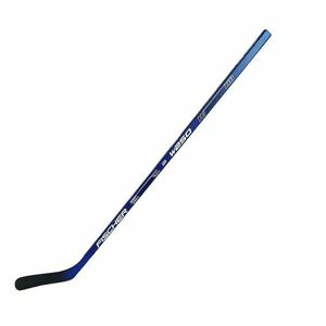 FISCHER-W250 ABS STICK SR-150cm 2023 kép