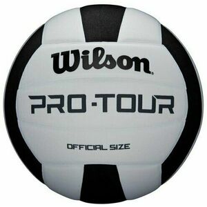 Wilson Pro Tour Strandröplabda kép