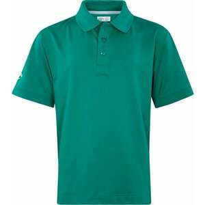 Callaway Boys Swing Tech Polo Golf Green L Rövid ujjú póló kép