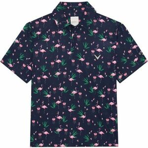 Callaway Boys All Over Flamingo Printed Polo Peacoat XL Rövid ujjú póló kép