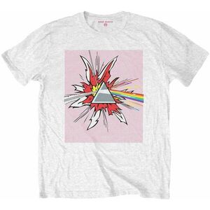 Pink Floyd Ing Lichtenstein Prism White S kép