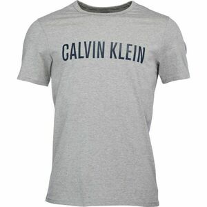 Calvin Klein S/S CREW NECK szürke S - Férfi póló kép