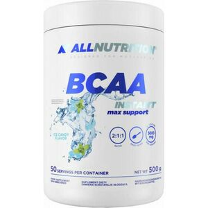 BCAA Max Support Instant italpor 500 g kép