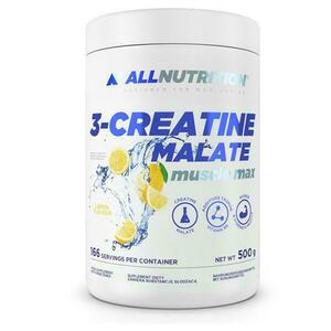 3-Creatine Malate 500 g kép