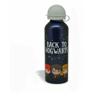 Harry Potter 500 ml (EWA00013HPA) kép