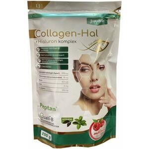 Collagen-Hal + Hialuron komplex italpor 200 g kép