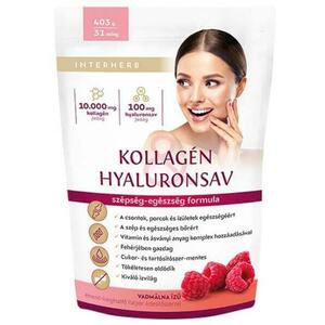 Kollagén & Hyaluronsav italpor 403 g kép