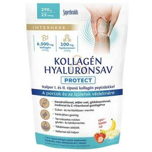 Kollagén & Hyaluronsav Protect italpor 290 g kép