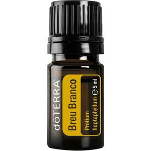 Breu Branco - Brazil Tömjén illóolaj 5ml - doTERRA kép