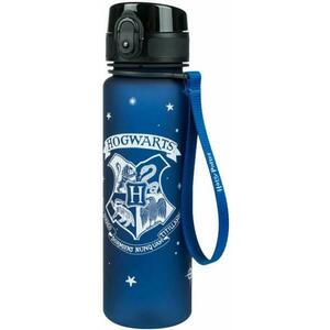 Harry Potter Roxfort 500 ml kép