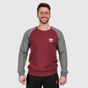 Férfi pulóver Iron Aesthetics Jumper, wine/grey kép