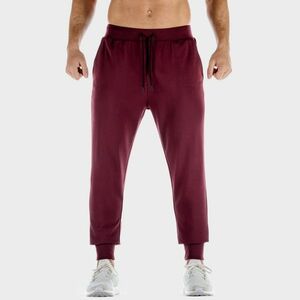 SQUATWOLF Men‘s Lab 360 Joggers Tawny Port kép