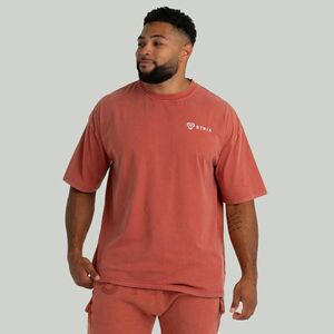 STRIX Oversized Washed póló Terra kép