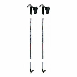 Sífutórudak BLIZZARD XC Performance senior cross-country poles, silver kép