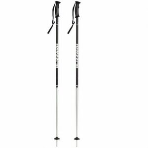 Síbot BLIZZARD Sport ski poles, black matt silver kép