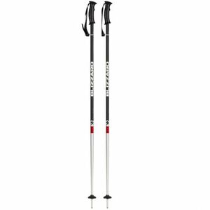 Síbot BLIZZARD Rental ski poles kép