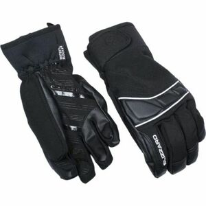 Síkesztyű BLIZZARD Profi ski gloves, black silver 20 kép