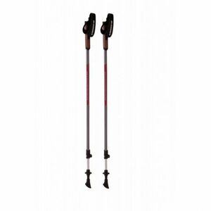 Nordic walking palota BLIZZARD Alu Performance nordic walking poles, anthracite pink kép