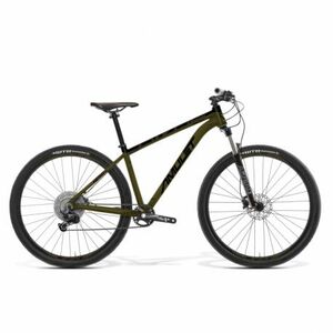 Mountain bike AMULET 29 Rival 8.0 SH, chrome green black, 2023 kép