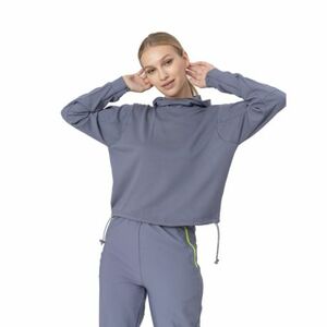 Női kapucnis pulóver 4F WOMENS SWEATSHIRT BLD021-25S-GREY kép