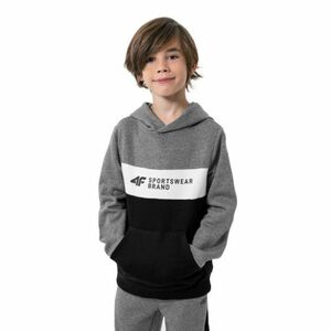 Fiú kapucnis pulóver 4F JUNIOR BOYS SWEATSHIRT JBLM003-24M-MIDDLE GREY MELANGE kép