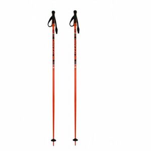 Síbot BLIZZARD Race ski poles, black orange kép