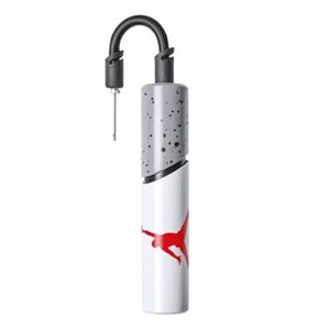 Tök NIKE JORDAN ESSENTIAL BALL PUMP WH CG kép