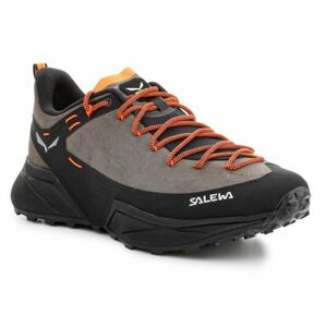 Férfi alacsony túracipő SALEWA Dropline Leather Shoe M bungee cord black kép