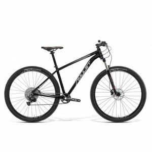 Mountain bike AMULET 29 Reserve 9.0 SH, black matt silver matt kép