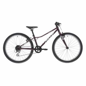 Junior mountain bike AMULET 24 Tomcat SH, royal purple silver, 2023 kép