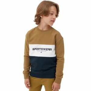 Fiú pulóver 4F JUNIOR SWEATSHIRT-JAW23TSWSM630-74S-GOLD kép