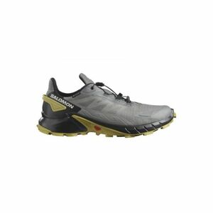 Férfi futócipő SALOMON Supercross 4 GTX pewter black cress green kép