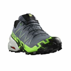 Férfi futócipő SALOMON Speedcross 6 GTX flint stone green gecko black kép