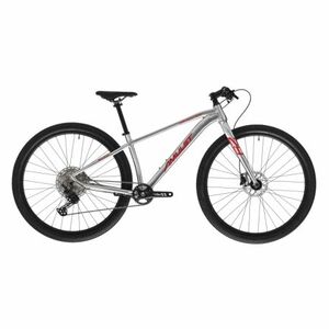 Junior mountain bike AMULET 29 Youngster 1.11 SH, alu brushed transparent red kép