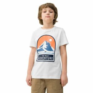 Fiú rövid ujjú turista póló 4F JUNIOR TSHIRT-4FJWSS24TTSHM1132-10S-WHITE kép