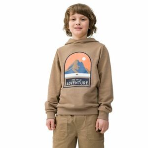 Fiú túrapulóver kapucnival 4F JUNIOR SWEATSHIRT-4FJWSS24TSWSM0933-81S-BROWN kép