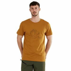 Férfi rövid ujjú turista póló FUNDANGO Legend T-shirt-240-mustard kép