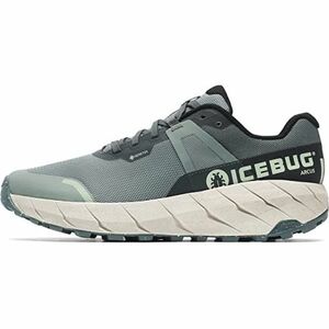 Férfi futócipő ICEBUG Arcus RB9X GTX green stone kép