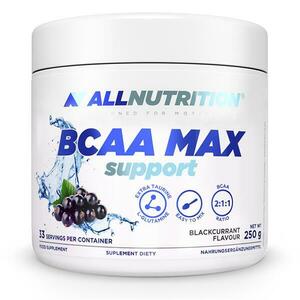 BCAA Max Support italpor 250 g kép