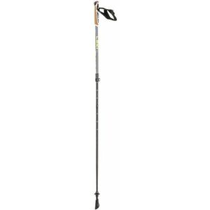 LEKI Nordic Walking botok Spin Shark SL, ezüst-szürke-sötét antracit-mészkő, 100 - 130 cm kép