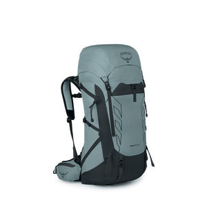 OSPREY TALON PRO 40 túrahátizsák TALON PRO 40, silver lining kép