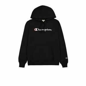 Big Logo Fleece Hoody kép