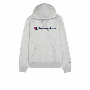 Big Logo Fleece Hoody kép