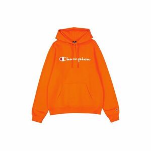 Big Logo Fleece Hoody kép