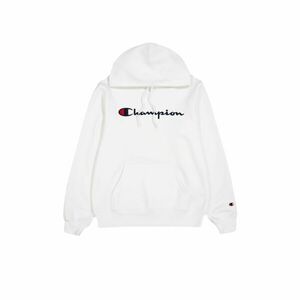 Big Logo Fleece Hoody kép