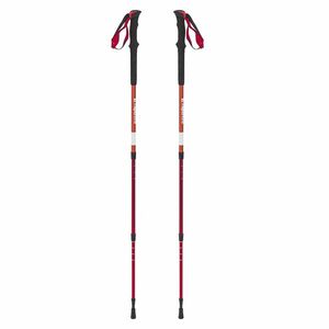 Trekking túrabot inSPORTline Altiplano 100 Pair piros kép