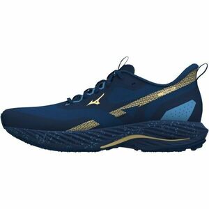 Mizuno WAVE RIDER TT 2 Férfi futócipő, kék, méret 45 kép